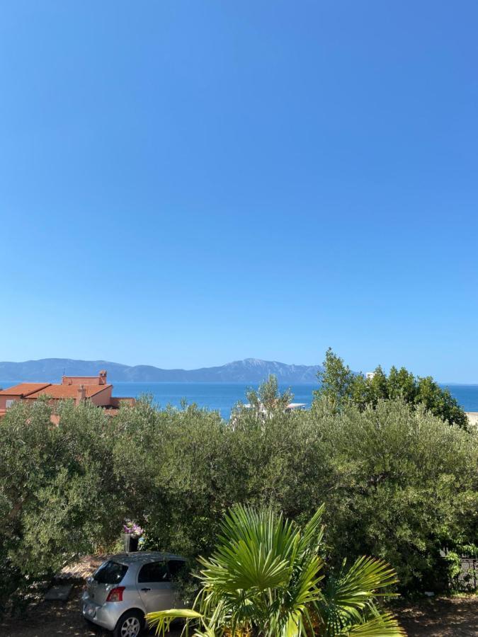 Apartament Mirta Gradac  Zewnętrze zdjęcie